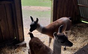 Billund Farm Holiday
